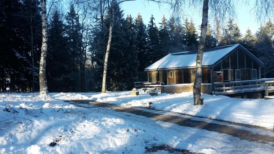 Chalet "A L Oree Du Bois" Бюллінген Екстер'єр фото