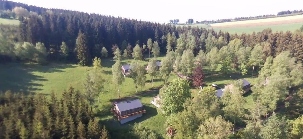 Chalet "A L Oree Du Bois" Бюллінген Екстер'єр фото