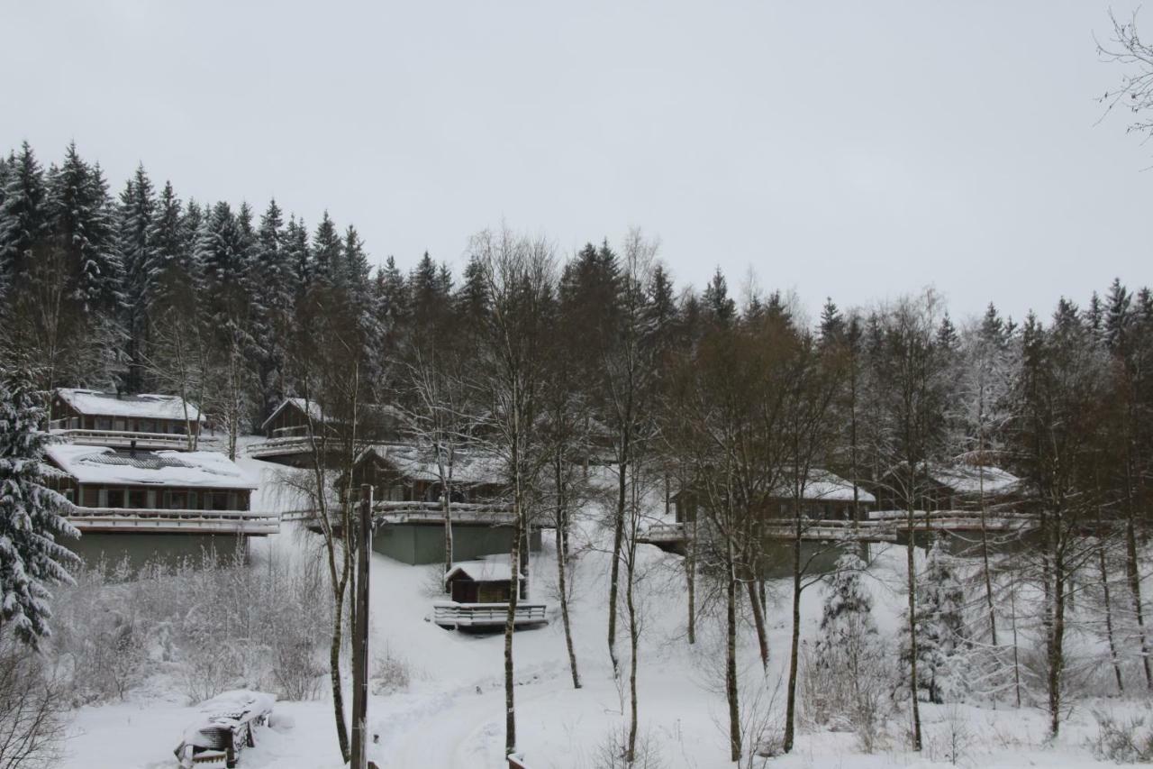 Chalet "A L Oree Du Bois" Бюллінген Екстер'єр фото