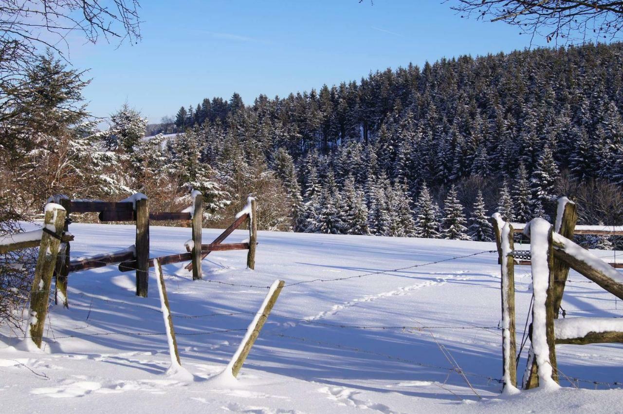 Chalet "A L Oree Du Bois" Бюллінген Екстер'єр фото